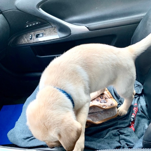 New sidekick trip to the lake .... - Picture 10 of 13